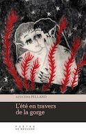 Été en travers de la gorge (L')